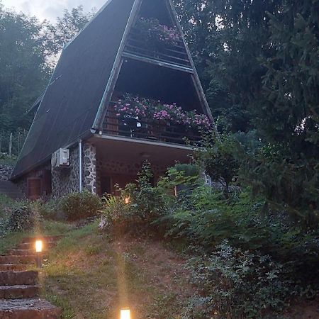 Holiday Home Dragonfly River House On Korana Near Plitvice And Mreznica Barilovic Экстерьер фото
